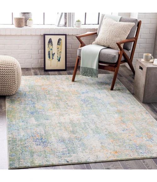 Livabliss Bodrum BDM-2329 8 10 x 12  Rug