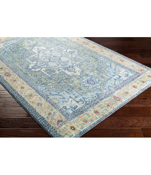 Livabliss Bodrum BDM-2335 8 10 x 12  Rug