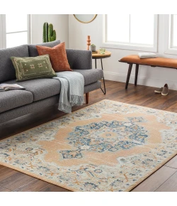 Livabliss Bodrum BDM2344 Peach Light Grey Area Rug 8 ft. 10 in. X 12 ft. Rectangle