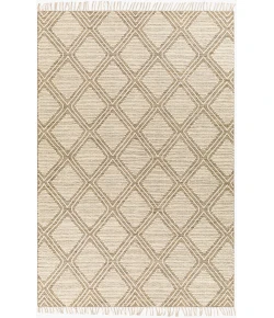 Surya Bedouin BDO2316 Taupe Black Area Rug 2 ft. X 3 ft. Rectangle