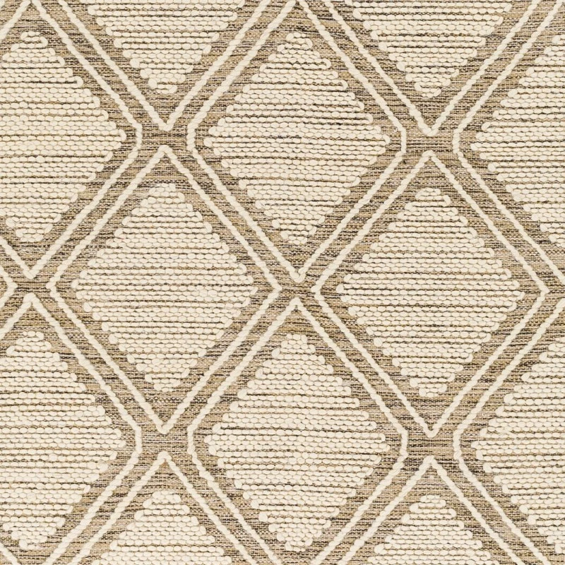 Surya Bedouin BDO-2316 2' x 3' Rug