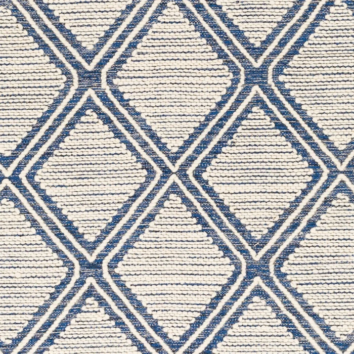 Surya Bedouin BDO-2317 2' x 3' Rug