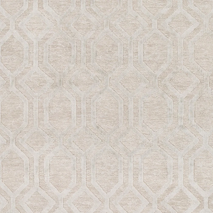 Surya Belvoire BEL-3001-6x9 rug
