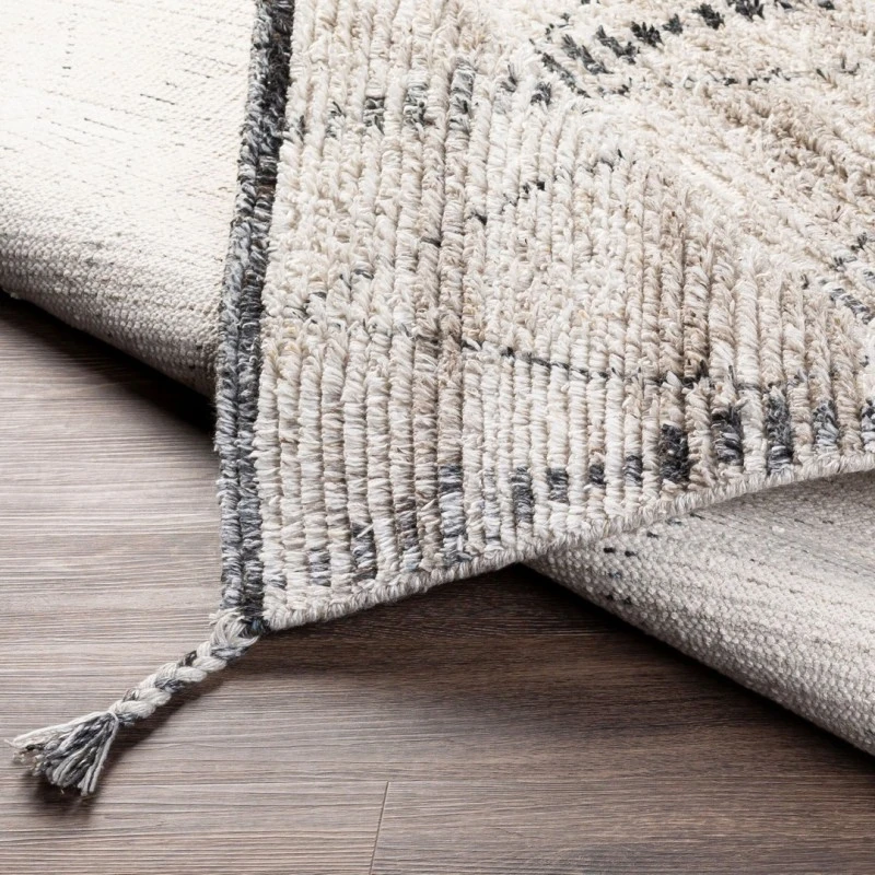 Surya Birch BHC-2302 2' x 3' Rug