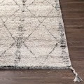 Surya Birch BHC-2302 2' x 3' Rug