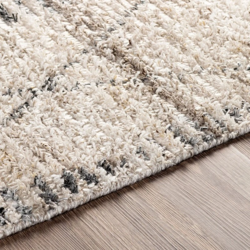Surya Birch BHC-2302 2' x 3' Rug