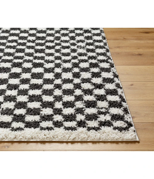 Birmingham BMM-2319 53" x 7 Machine Woven Rug