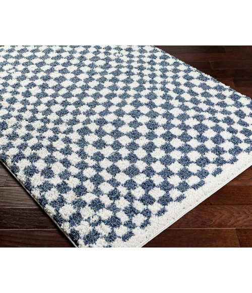 Birmingham BMM-2320 67" x 9 Machine Woven Rug