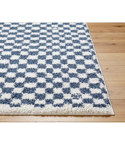 Birmingham BMM-2320 67" x 9 Machine Woven Rug