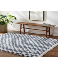 Birmingham BMM-2320 67" x 9 Machine Woven Rug