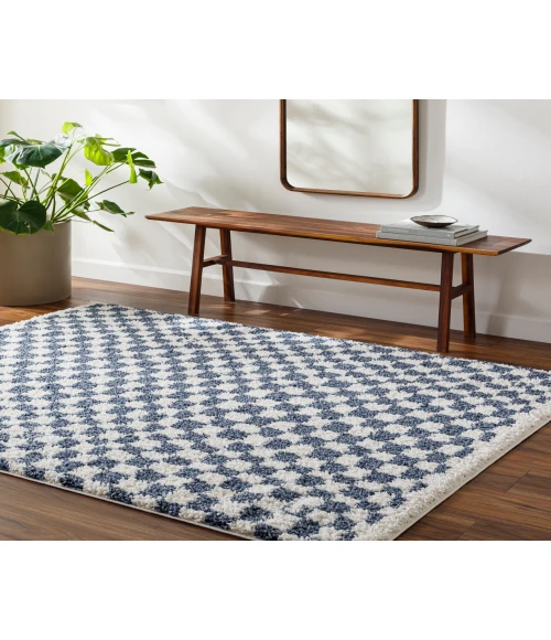 Birmingham BMM-2320 67" x 9 Machine Woven Rug