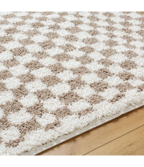 Livabliss Birmingham Rug BMM2322