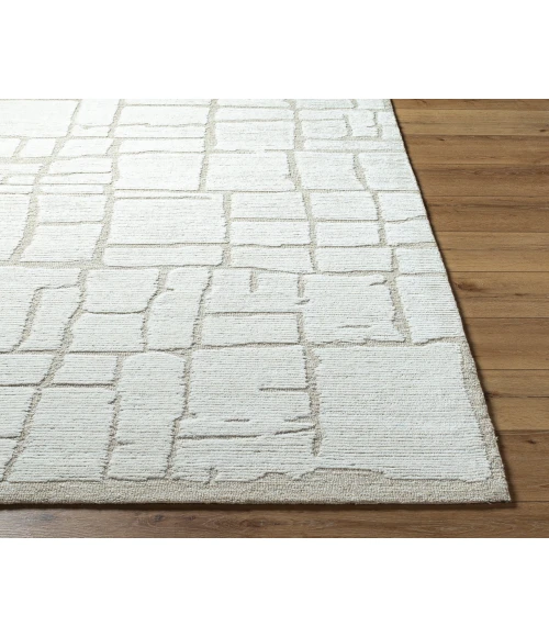Bianca BNC-2300 9' x 12' Handmade Rug