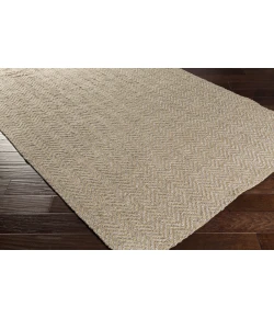 Surya Boca BOC1004 Taupe Ivory Area Rug 2 ft. X 3 ft. Rectangle