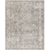 Livabliss Becki Owens Davina BOCC2301 Medium Gray Taupe Area Rug 5 ft. 3 in. X 7 ft. Rectangle