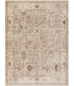 Livabliss Becki Owens Davina BOCC2302 Medium Gray Light Beige Area Rug 5 ft. 3 in. X 7 ft. Rectangle