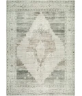 Becki Owens Luca Sage BONC-2303 6 ft. 7 in. X 9 ft. Rect. Rug