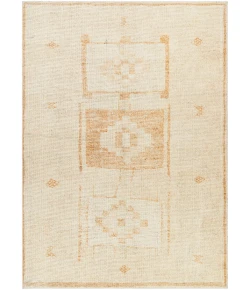 Livabliss Becki Owens Solana BOOC2300 Burnt Orange Ivory Area Rug 5 ft. 3 in. X 7 ft. Rectangle
