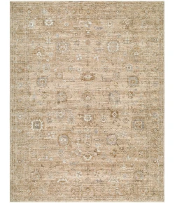 Becki Owens Penny BOPE-2300 5 ft. 3 in. X 7 ft. Rect. Rug