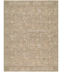 Becki Owens Penny BOPE-2301 5 ft. 3 in. X 7 ft. Rect. Rug
