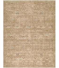 Becki Owens Penny BOPE-2303 5 ft. 3 in. X 7 ft. Rect. Rug