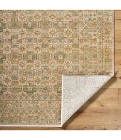 Becki Owens Renaissance Light Beige BORI-2304 2 ft. 11 in. X 9 ft. 10 in. Rect. Rug