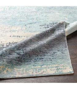Surya Baranof BRF1000 Aqua Ivory Area Rug 2 ft. X 3 ft. Rectangle