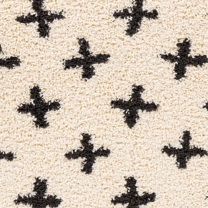 Livabliss Beni shag BSH-2304 7 10 x 10  Rug