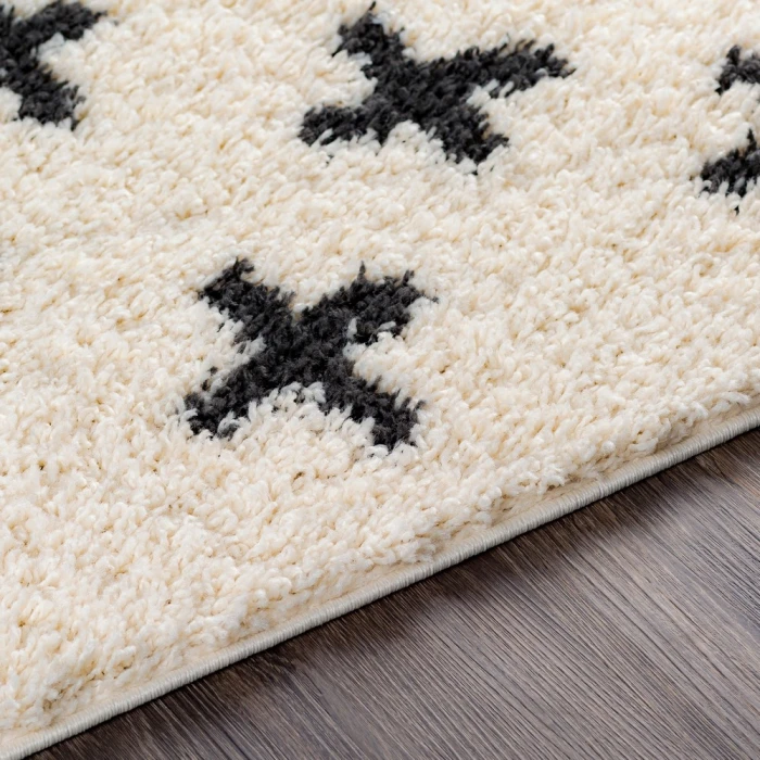 Livabliss Beni shag BSH-2304 7 10 x 10  Rug