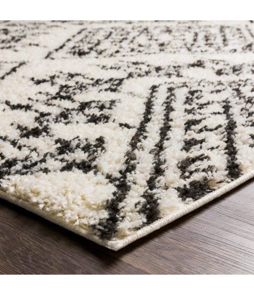 Surya Beni shag BSH-2311 2'7" x 7'3" Rug