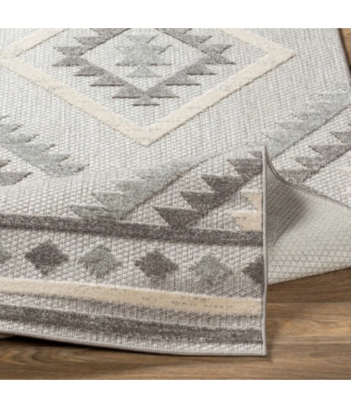 Livabliss Big Sur BSR-2313 Area Rug