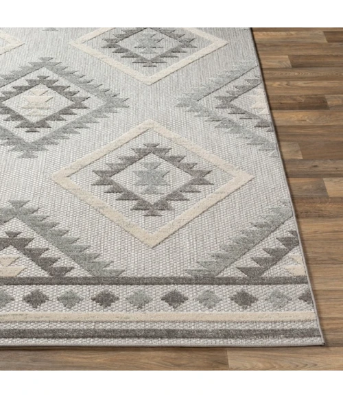 Livabliss Big Sur BSR-2313 Area Rug
