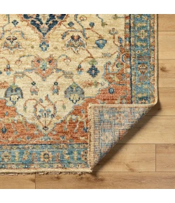 Surya Biscayne Rust BSY-2300 2 ft. X 3 ft. Rect. Rug