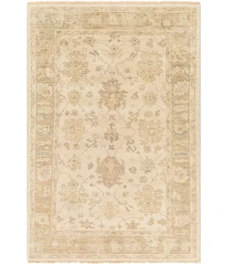 Surya Biscayne BSY2312 Light Beige Medium Gray Area Rug 2 ft. X 3 ft. Rectangle