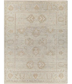 Surya Biscayne BSY2313 Light Slate Tan Area Rug 9 ft. X 13 ft. Rectangle