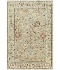 Surya Biscayne BSY2314 Tan Dark Brown Area Rug 4 ft. X 6 ft. Rectangle