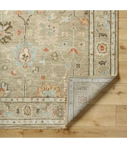 Surya Biscayne BSY2314 Tan Dark Brown Area Rug 4 ft. X 6 ft. Rectangle