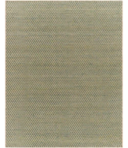 Surya Bolton BTO-2303 2' x 3' Rectangle Rug