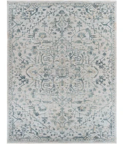 Livabliss Brunswick BWK2310 Sage Beige Area Rug 7 ft. 10 in. X 10 ft. 3 in. Rectangle