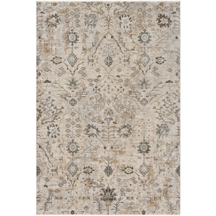 Surya Brunswick BWK-2311 5  x 7 5 Rug