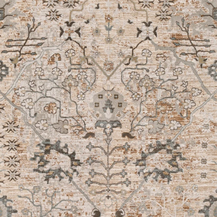 Surya Brunswick BWK-2311 5  x 7 5 Rug