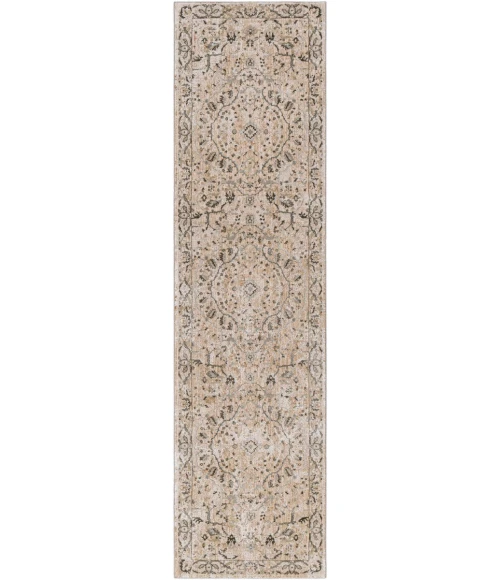 Surya Brunswick BWK-2312 2 7 x 10  Rug