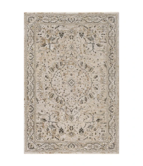 Surya Brunswick BWK-2312 5  x 7 5 Rug