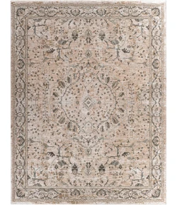 Livabliss Brunswick BWK2312 Ivory Beige Area Rug 7 ft. 10 in. X 10 ft. 3 in. Rectangle