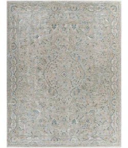 Livabliss Brunswick BWK2313 Beige Khaki Area Rug 7 ft. 10 in. X 10 ft. 3 in. Rectangle