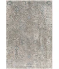 Surya Brunswick BWK-2315 5  x 7 5 Rug