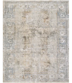 Livabliss Brunswick BWK-2340 2 ft.7 in. x 10 ft. Runner Rug