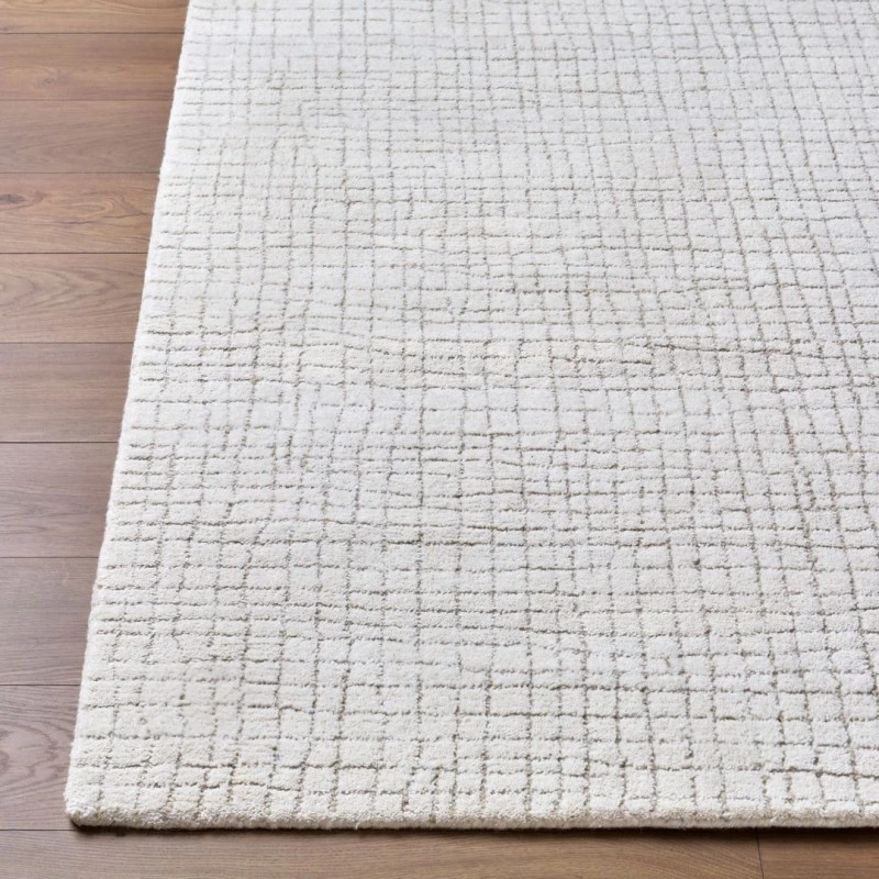 LIVABLISS Byram BYM-2301 2ft. x 3ft. Rect. Rug