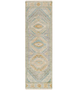 Surya Bunyan BYN2301 Beige Pale Blue Area Rug 2 ft. 6 in. X 10 ft. Runner