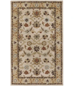 Livabliss Caesar CAE1010 Khaki Tan Area Rug 3 ft. X 12 ft. Runner